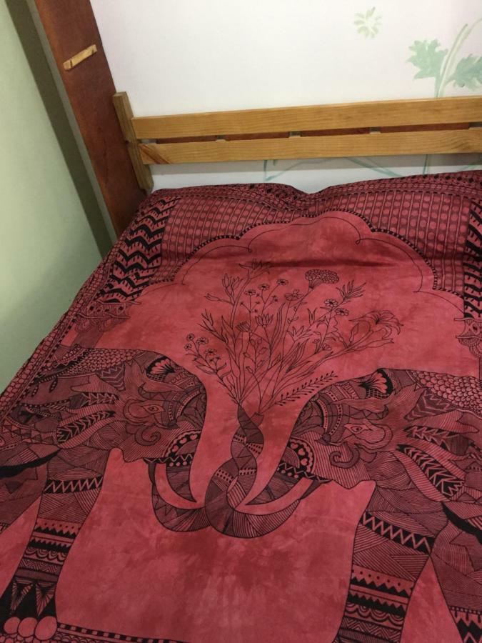 Hostel Mueller Na Praia De Mocambique Florianópolis 외부 사진